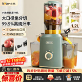 小熊（Bear）榨汁机 原汁机渣汁分离 多功能家用全自动冷压榨果汁橙汁压榨器果蔬机110mm口径F02E3【国家补贴】