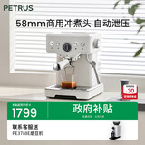 柏翠(petrus)【政府补贴】咖啡机意式浓缩家用小型半自动蒸汽打奶泡PE3833 海盐小方