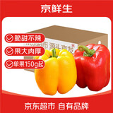 京鲜生山东双色五彩椒净重4.5斤装 单果150g起 圆椒甜椒 源头直发