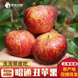 鲜果莱慕云南昭通丑苹果冰糖心红富士2026年当季华硕红露苹果新鲜水果 8.8斤85MM※更脆更甜※回购超多