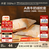 水星家纺枕套牛奶绒冬季双面保暖对枕套抗静电A类枕头罩一对装双人48x74cm