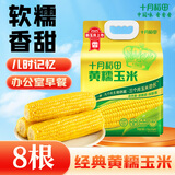 十月稻田 黄糯玉米 3.52斤(220g*8根) 25年新玉米 低脂 早餐零食 东北玉米