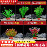 疯狂水草（FKSC）鱼缸水草蜈蚣草鱼缸造景专用真水草懒人水培植物净化水质直接入缸 花红柳绿组合【适合20-30缸】（送营养液））