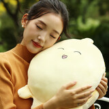 赛亿 SHINEE电热水袋暖手宝暖宝宝暖水袋充电暖手袋电热暖水宝 智能防爆取暖神器NS503 【可拆双插手】抱枕式出气包 6