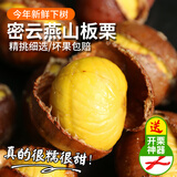 密农人家2025新鲜板栗 生板栗 毛栗子椎栗 生栗子 板栗很甜新油板栗 3斤 头标板栗 3斤（不带开栗子神器）