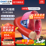 正泰（CHNT）阻燃电线BV2.5/4/6平方单股铜芯电线 电缆线国标电源线家用铜芯线 红色火线BV10  100米