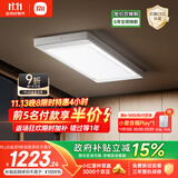 米家智能晾衣机2 Pro 【国家补贴】小米电动隐形晾衣架3D曲面穹顶灯