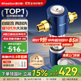 惠尔顿（WHEELTON）前置过滤器反冲洗防爆10T全屋净水器家用大流量自动刮洗清洗滤网防爆抗冻自来水管过滤器p0038pro 上门安装【无需更换滤芯】