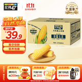 北纬47° 黄糯玉米2.4斤(200g*6根) 东北粘黏鲜玉米棒真空包装  早餐苞米