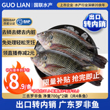 GUO LIAN国联水产三去罗非鱼4条共2.8斤净重非洲鲫鱼水产生鲜食材源头直发