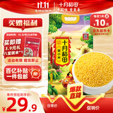 十月稻田 黄小米 5斤 可溯源 五谷杂粮 粥米 早餐小米粥 2.5kg