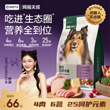 网易严选犬粮 全价冻干三拼鸡肉狗粮幼犬成犬小型中大型犬通用金毛 2kg