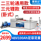 蓄骑士三轮车电瓶磷酸铁电动车锂电池大容量快递车三元锂电动摩托车专用 三轮车48v100ah【彦阳100a板】配快充