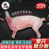 西牛优选羊肉 生鲜新鲜现杀半只羊套餐羊排蝎子烧烤火锅食材年货礼盒 全羊20斤