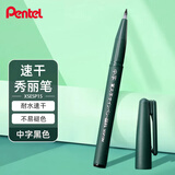 派通（Pentel ） 中字科学毛笔 中楷书法软毛笔 练字书写毛笔 中楷毛笔XSESP15MA