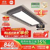 米家智能晾衣机Pro 【国家补贴】小米电动晾衣架超薄嵌入隐藏遥控升降