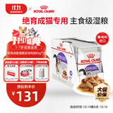 皇家猫粮 绝育成猫湿粮 软包猫罐头SAGP 1-7岁 浓汤肉块 85G*12进口