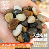 寿禾 鹅卵石鱼缸装饰造景天然石头庭院花盆铺面 0.8-1.5cm鹅卵石5斤