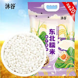 沐谷 东北圆糯米6斤加量装 黏米江米粽子米粘性食材五谷杂粮粥米