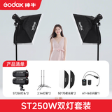 神牛（Godox） 250W闪光灯摄影灯套装证件照人像拍摄补光灯电商小型摄影棚柔光箱摄影器材 【6】ST250W两灯套装-送引闪器