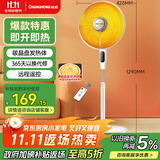 长虹（CHANGHONG）取暖器/小太阳/电暖气/遥控取暖器家用/电热扇/电暖炉/摇头升降两用CDN-RT27LSS