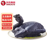 天农 甄选乌凤鸡2斤 供港乌骨鸡整鸡肉 冷冻 生态散养138天土乌鸡