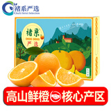 诸氏橙品【褚系严选】官方橙子水果 云南冰糖橙 高山香脐甜橙春节年货礼盒 褚系严选10斤珍品XXL果--净9斤