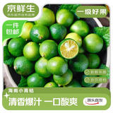 京鲜生 海南小青柠檬青金桔1斤装单果7g+奶茶店专用调味品源头直发包邮