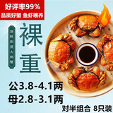 【活蟹】湖鲜阳澄大闸蟹公3.8-4.1两 母2.8-3.1两4对8只现货特大鲜活螃蟹礼盒源头直发