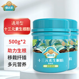 德沃多肥料强力生根粉通用500g*2树木移栽壮苗植物扦插生根液再生苗木生根剂