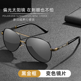 LESCA LUNETIER开车专用偏光太阳镜男款防紫外线 黑金框变色片（日夜两用）