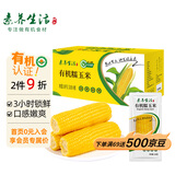素养生活 有机糯玉米4.16斤 8穗装东北黄糯玉米软糯鲜食玉米棒
