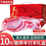 朵芙内蒙半羊礼盒10斤 新鲜羊肉羊排羊腿羊蝎子火锅食材 羊肉生鲜礼盒 半羊10斤礼盒【送礼精选】