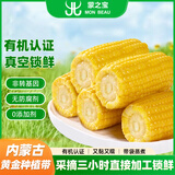 蒙之宝 MON BEAU内蒙有机甜糯玉米150g+-10g x12棒1.8kg 真空锁鲜源头直发包邮