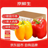 京鲜生山东双色五彩椒 净重1.2斤装 单果120g起 圆椒甜椒 农场源头直发
