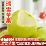 洛川苹果陕西延安特产红富士时令苹果水果礼盒送苹果生鲜新鲜脆甜整箱批发 【新品】瑞雪15个70mm优选礼盒装