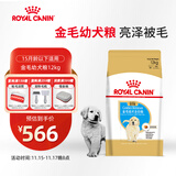 皇家狗粮 金毛幼犬狗粮 犬粮 宠物大型犬 AGR29 全价犬粮 2-15月 12KG