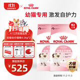 皇家猫粮 幼猫猫粮 幼猫奶糕 K36 通用粮 4-12月 4.5KG*2