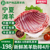 伊民康洋羊排 宁夏滩羊肉 生鲜新鲜散养无脊羔羊肋排骨礼盒清真 羔羊肋排4斤