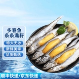 格雷缘多春鱼特大号多籽新鲜满籽母体多籽鱼鲜活冷冻鱼籽特大海鱼烧烤 多春鱼10斤