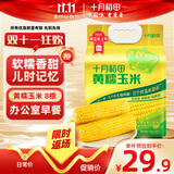 十月稻田 黄糯玉米 3.52斤(220g*8根) 25年新玉米 低脂 早餐零食 东北玉米