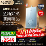 史密斯（A.O.SMITH）佳尼特【小精钢TCS5】13升燃气热水器 国家补贴 安全守护 持久恒温大水量 新品