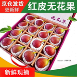会小二云南红皮无花果现摘精选果一级果应季孕妇老人新鲜水果礼盒送礼 4斤(净1.8kg)