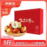 京鲜生陕西大荔冬枣 净重5斤 单果16g+  中秋礼盒 生鲜水果  源头直发 