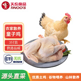 天农 供港童子鸡整鸡（1.2斤*3只）土鸡 清蒸烤鸡食材 冷冻 源头直发