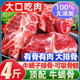 清爵国标GB2707原切 内蒙古新鲜牛脊骨牛骨头牛排骨牛蝎子牛肉牛大骨 超大量【牛蝎子】净重4斤/2包