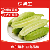 京鲜生山东奶油黄瓜净重1.8斤单果50g+ 小青瓜新鲜蔬菜源头直发