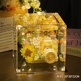 樱花树屋向日葵永生花diy积木相机摆件相框中秋节生日礼物女生 【春日花影】复古相机+镜面盒（配胶水+暖灯）