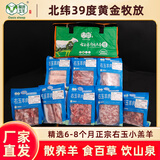 绿洲玉羊右玉羊肉新鲜山西右玉散养羔羊羊肉生鲜礼盒原切清真食品羊肉卷 8kg友谊礼盒