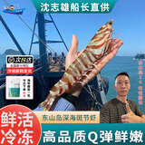 沈志雄东山岛活冻深海大虾斑节虾竹节虾九节虾对虾基围虾年货年夜饭送礼 4-6条/盒/共2盒大个头共800克
